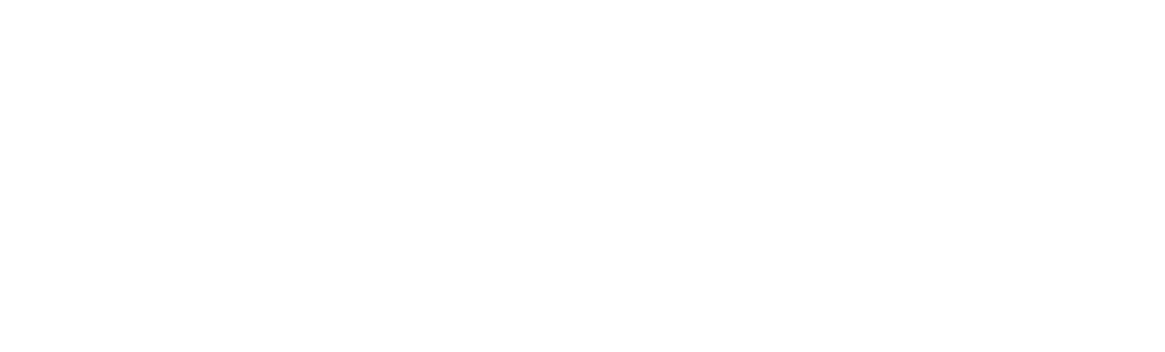 CASO DOLPHIN COMPANY